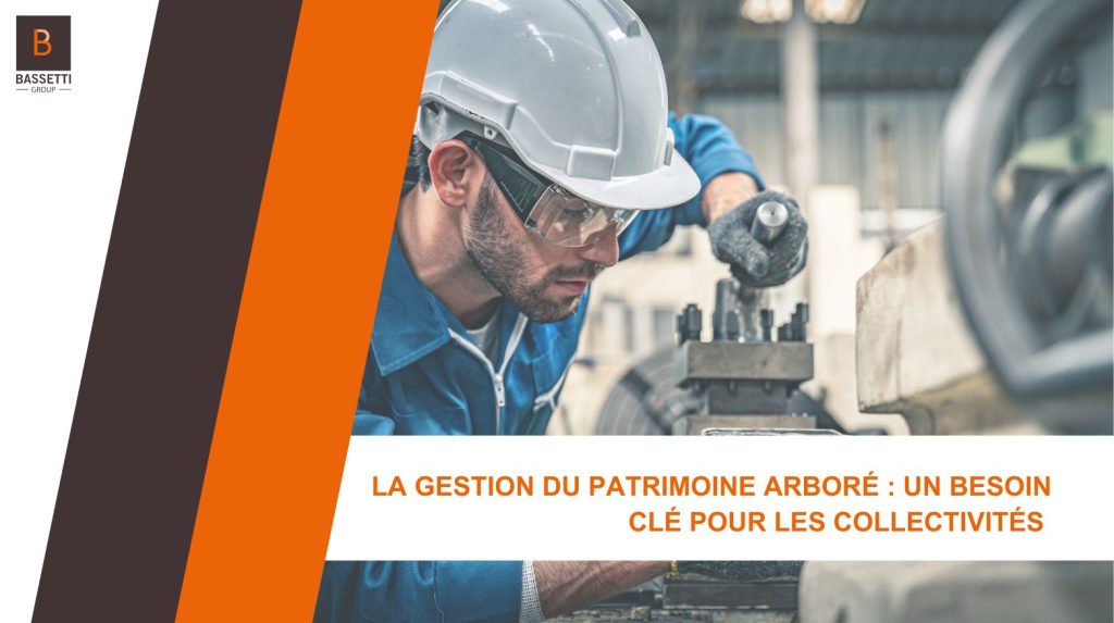 Article, La gestion du patrimoine arboré : Un besoin clé pour les collectivités