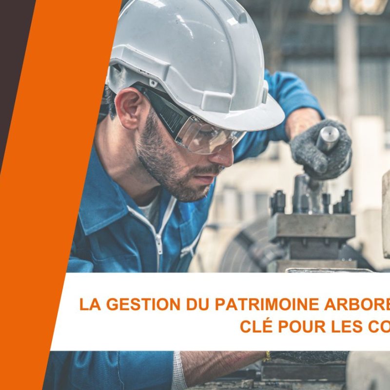 Article, La gestion du patrimoine arboré : Un besoin clé pour les collectivités