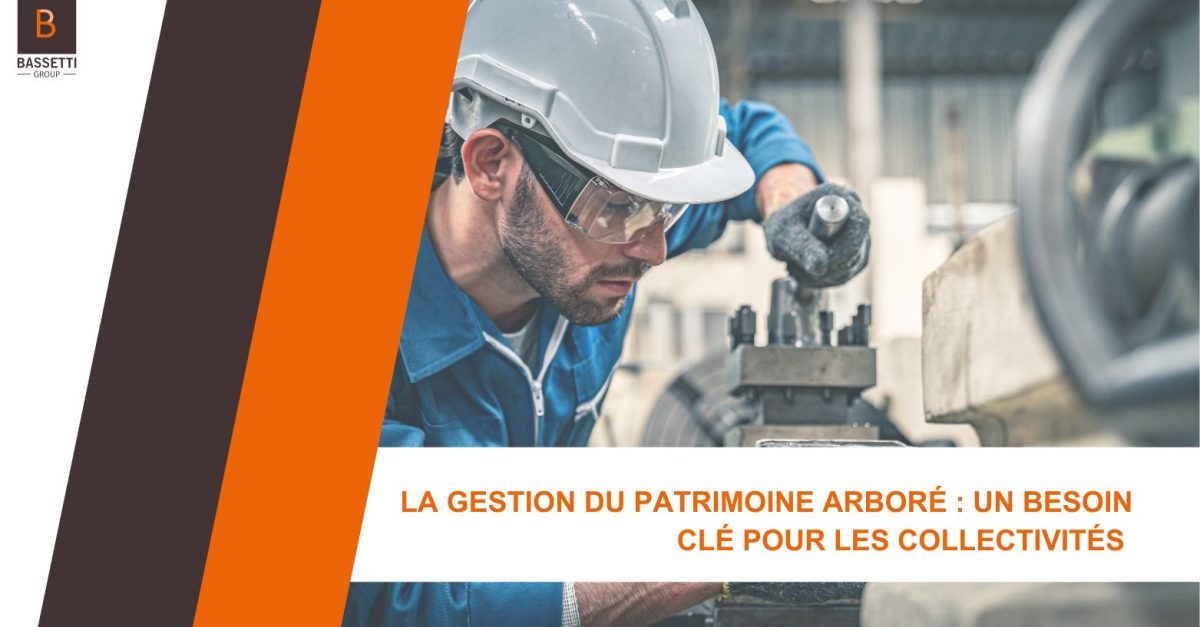 Article, La gestion du patrimoine arboré : Un besoin clé pour les collectivités